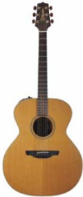 Takamine EN-20